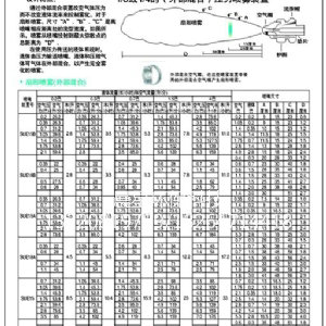 双头雾化喷嘴